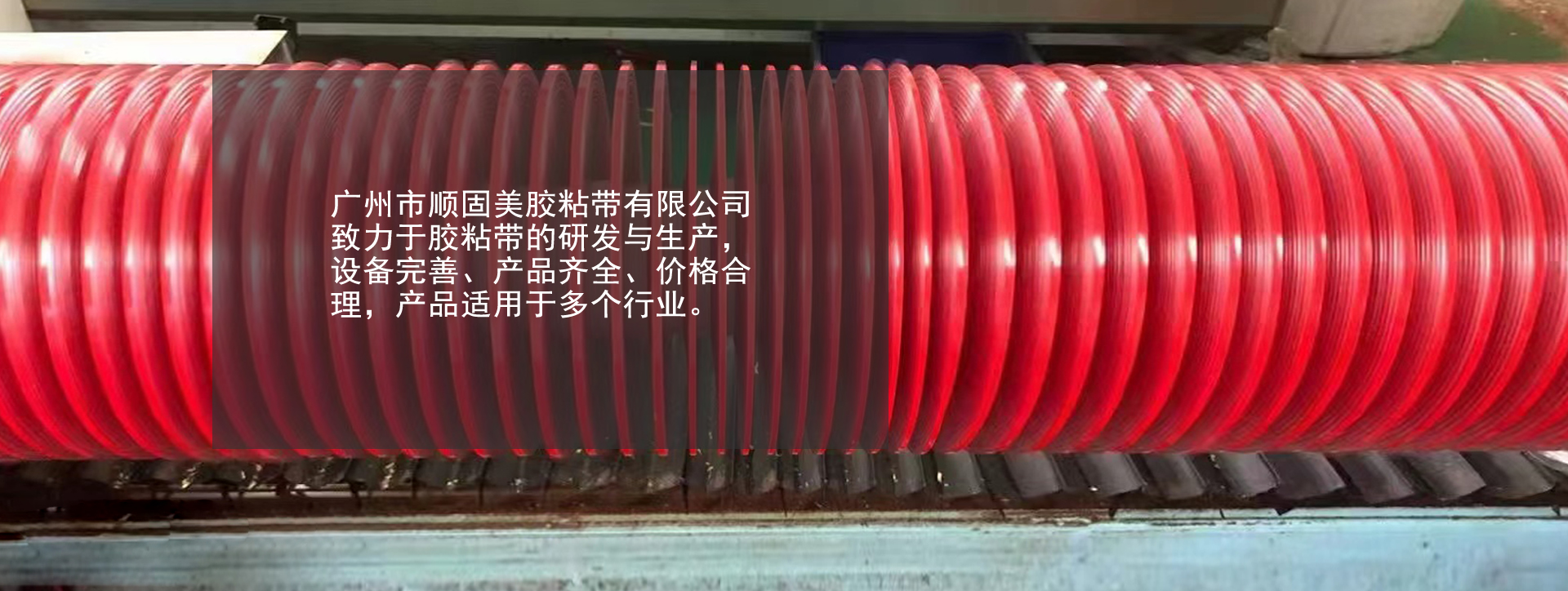 在这里使用主标题