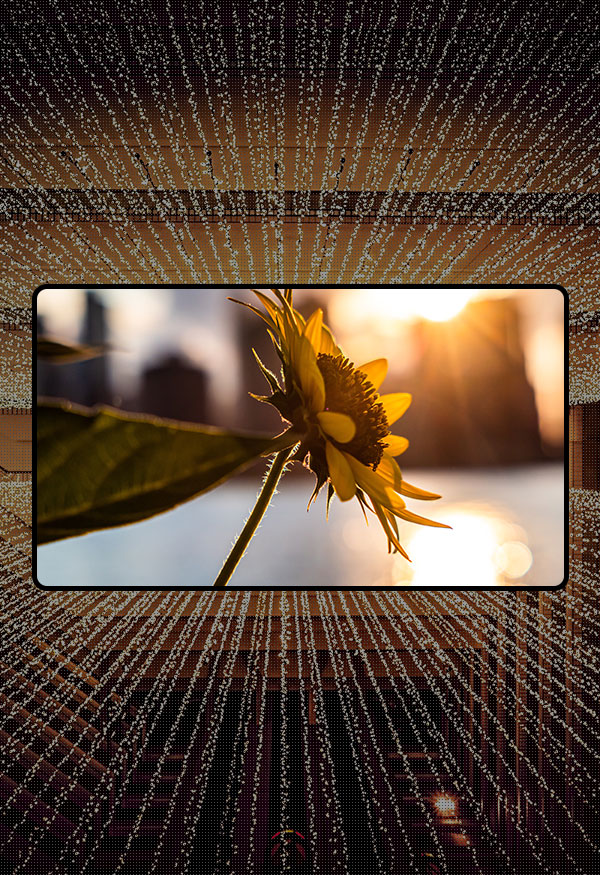 中尺寸(6.75'~15.6')