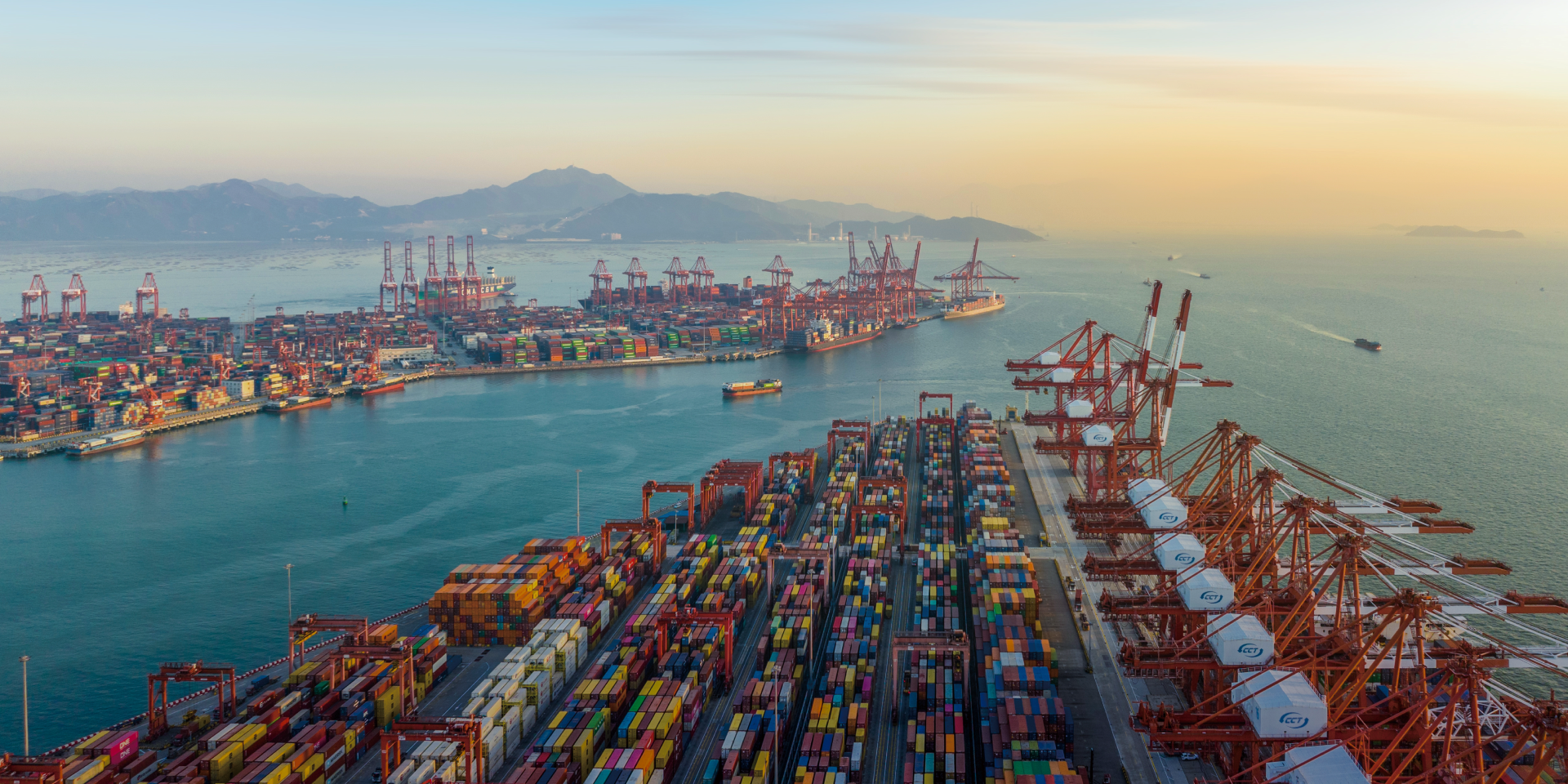 织就全球鲜味食网