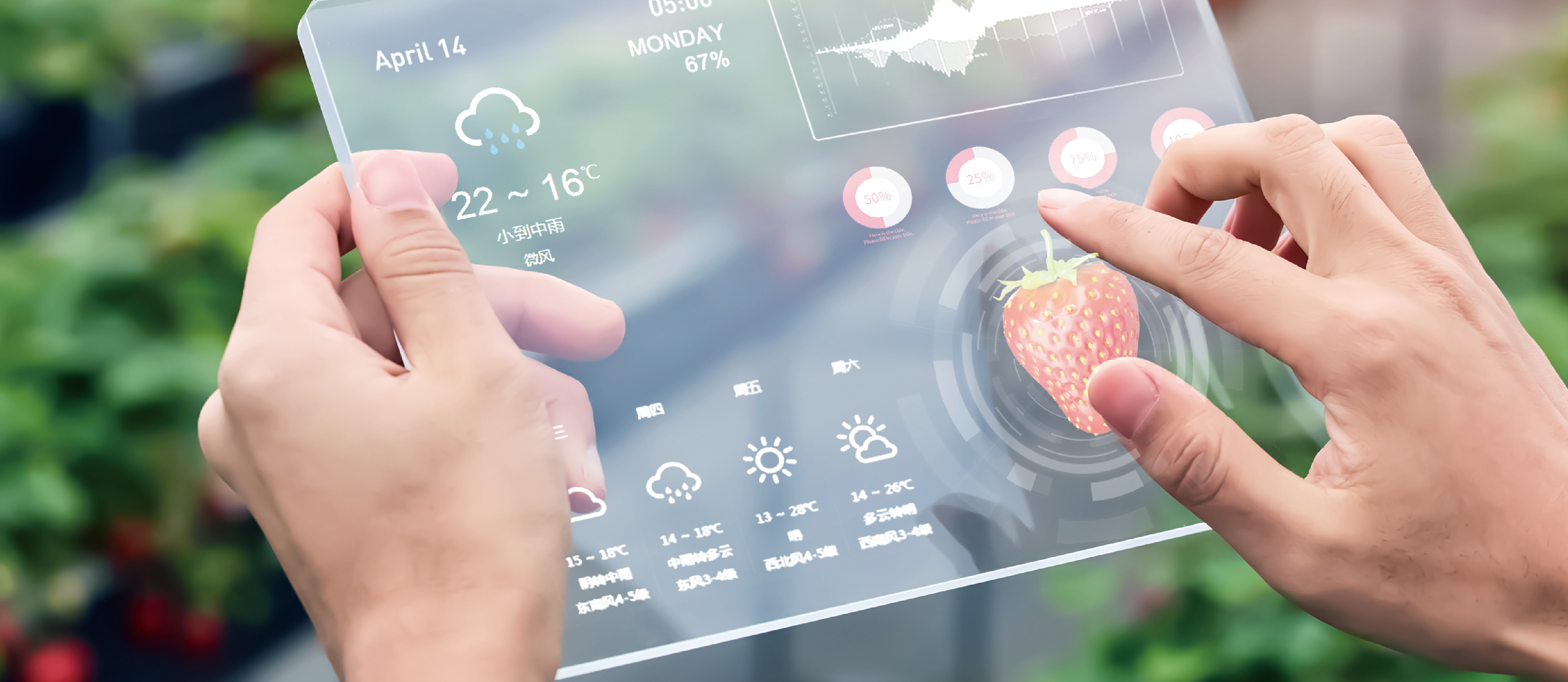 解锁绿色未来密码