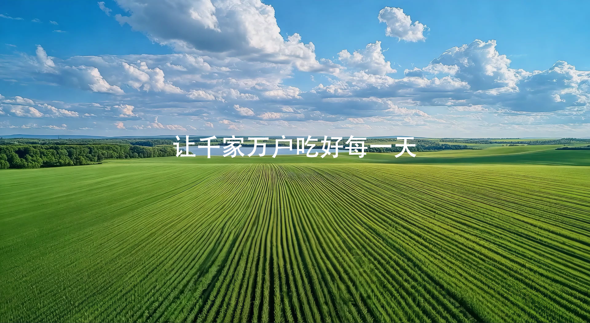 经营理念


经营理念




经营理念

 


