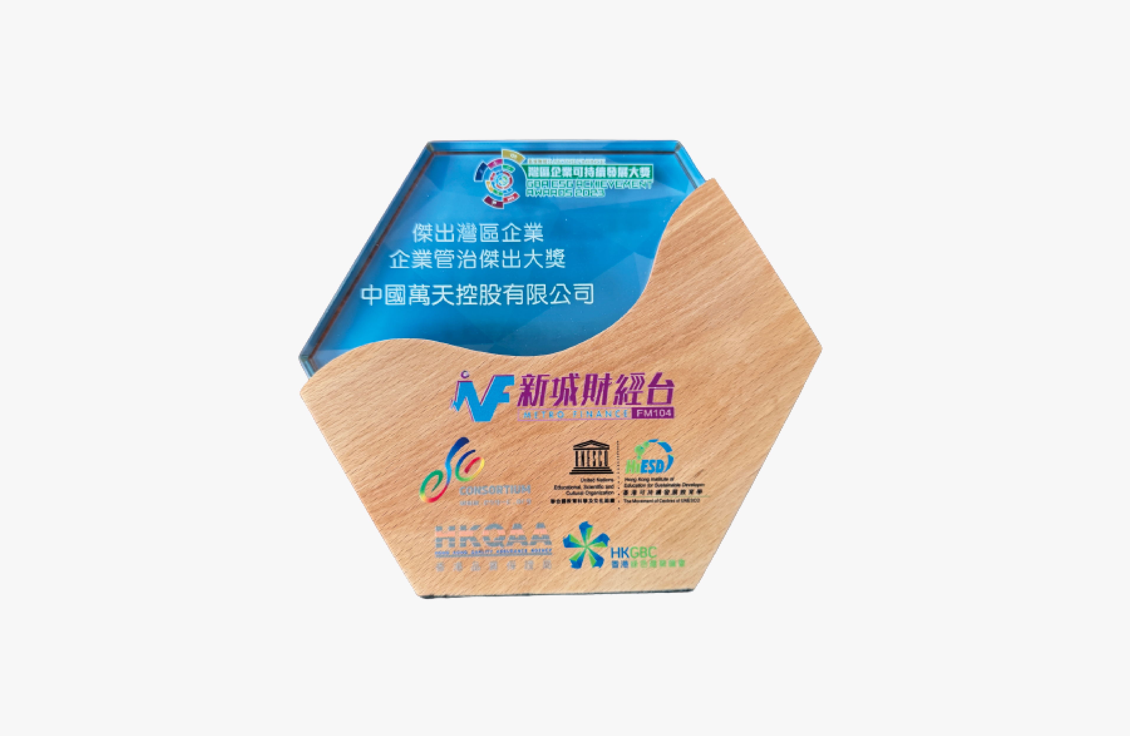 杰出湾区企业企业管治杰出大奖