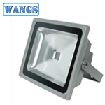 LED Flood Light