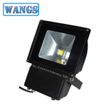 LED Flood Light