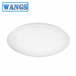 Economic LED Ceiling Light