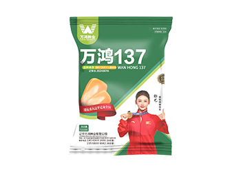 万鸿137