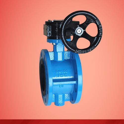 Flanged type turbine-driven butterfly valve (D341X)