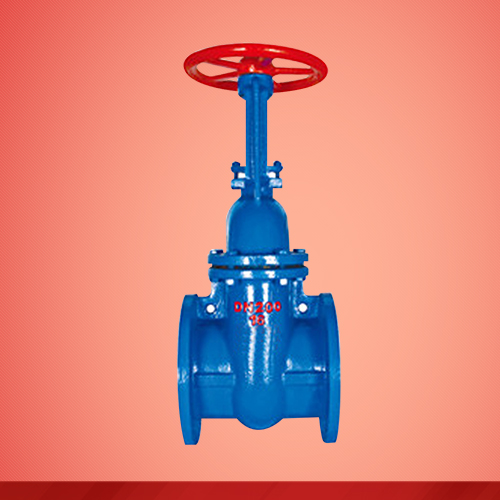 Rising stem gate valve (Z41X)