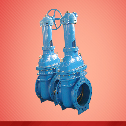 Rising stem gear box gate valve (Z541T)