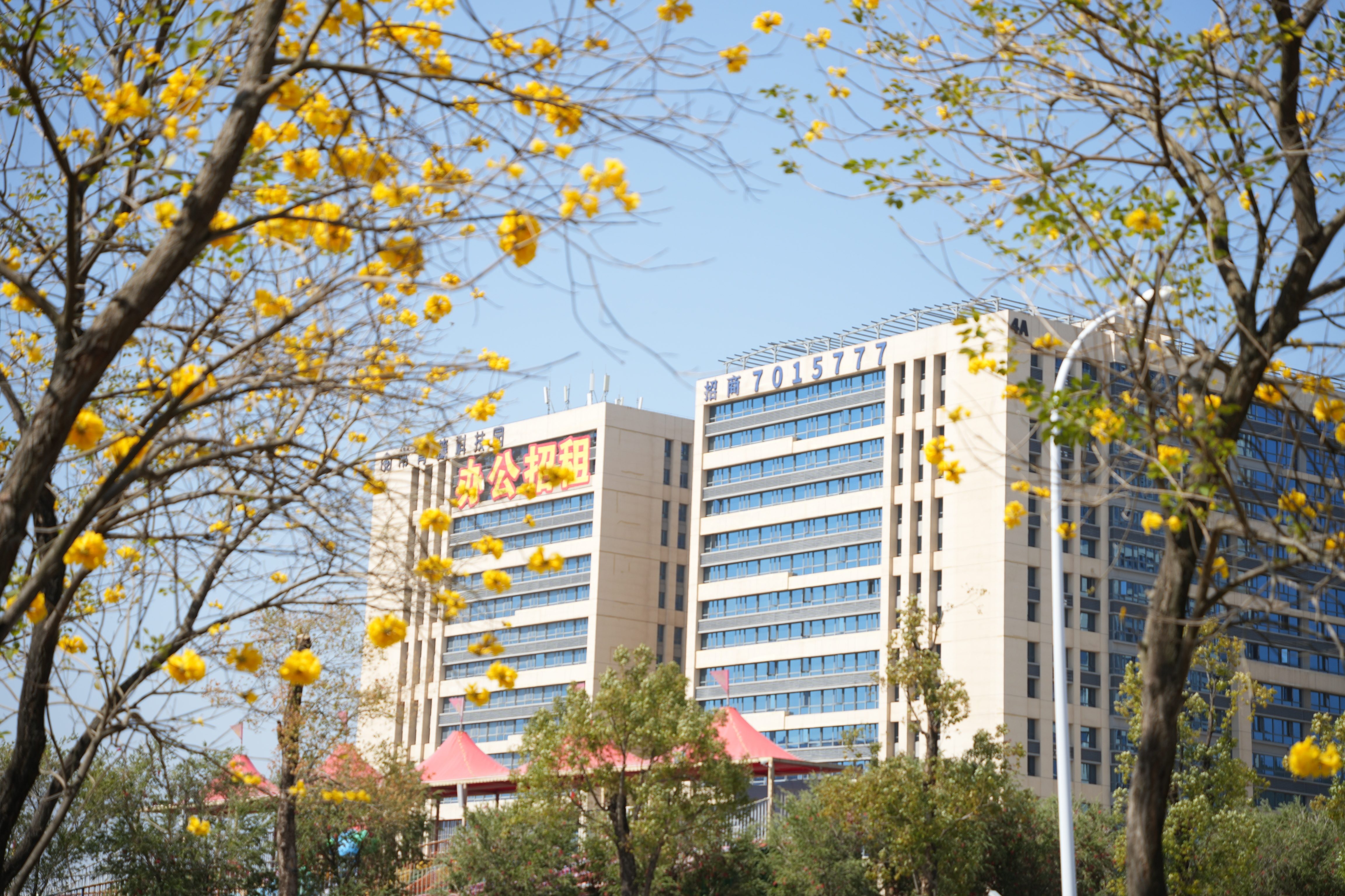 青藤资讯丨春风吹进常青藤，满园春色等您来打卡~