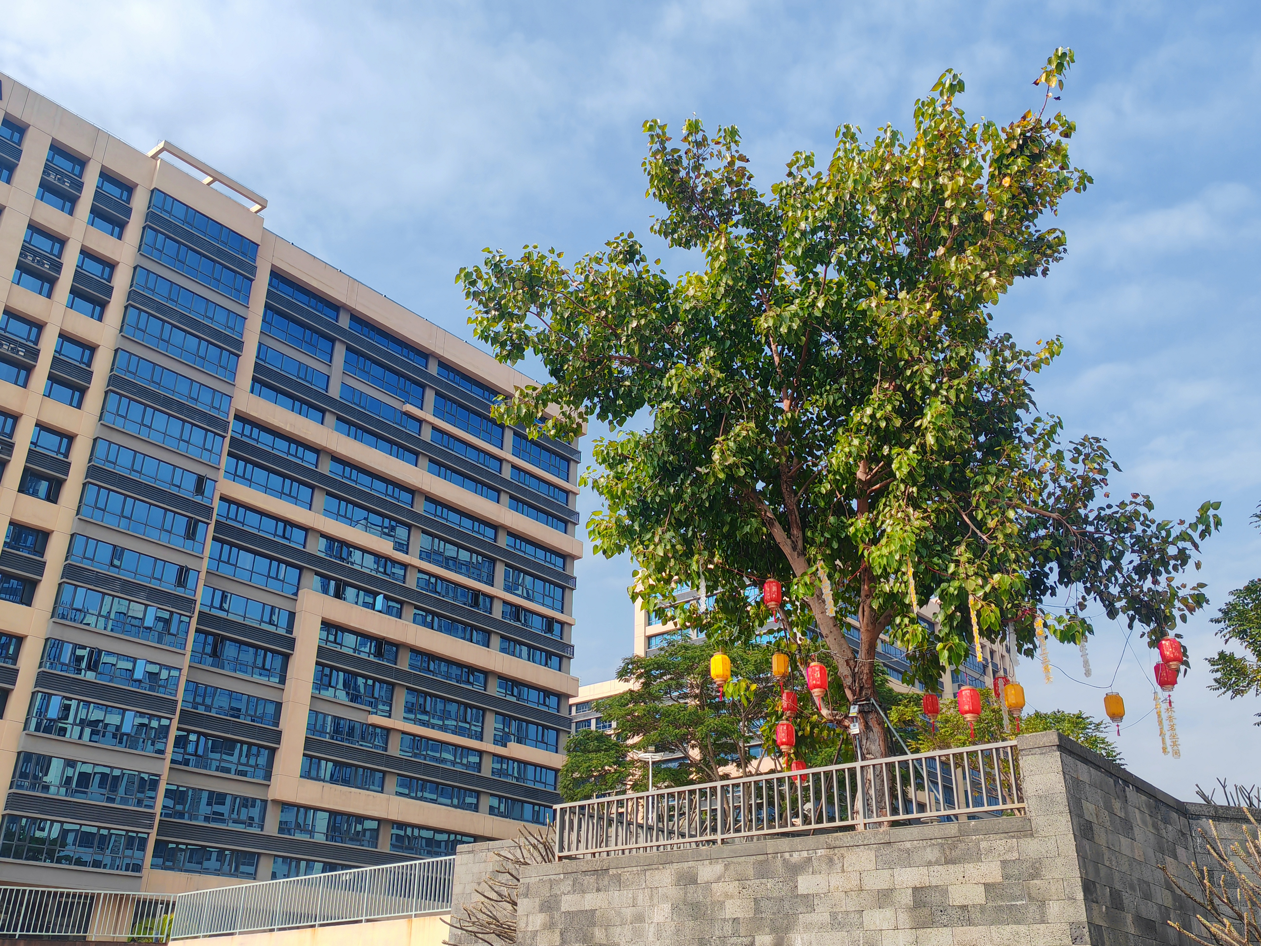 青藤资讯丨园区焕新迎福至啦，2026新春限定款皮肤快来速览！