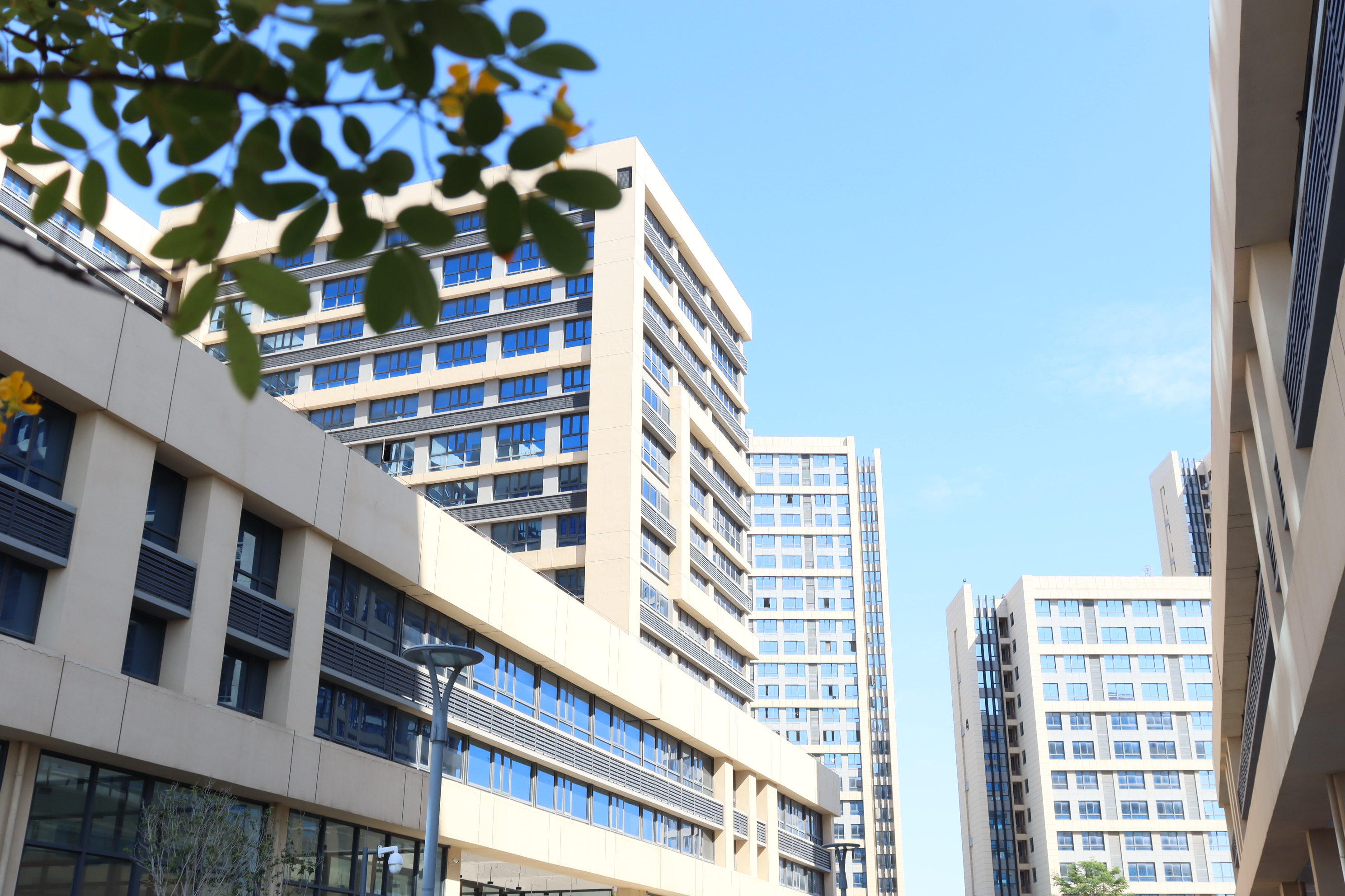 青藤资讯丨藏在绿意里的创业沃土，企业选它就对了！