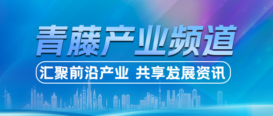 青藤产业频道丨厦门电商企业战略转型与市场策略指南，报名从速 →