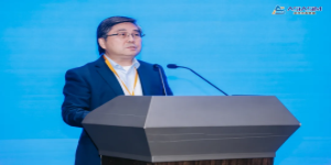 Academician Wang Zili Elected Fellow of the Asia Simulation Federation