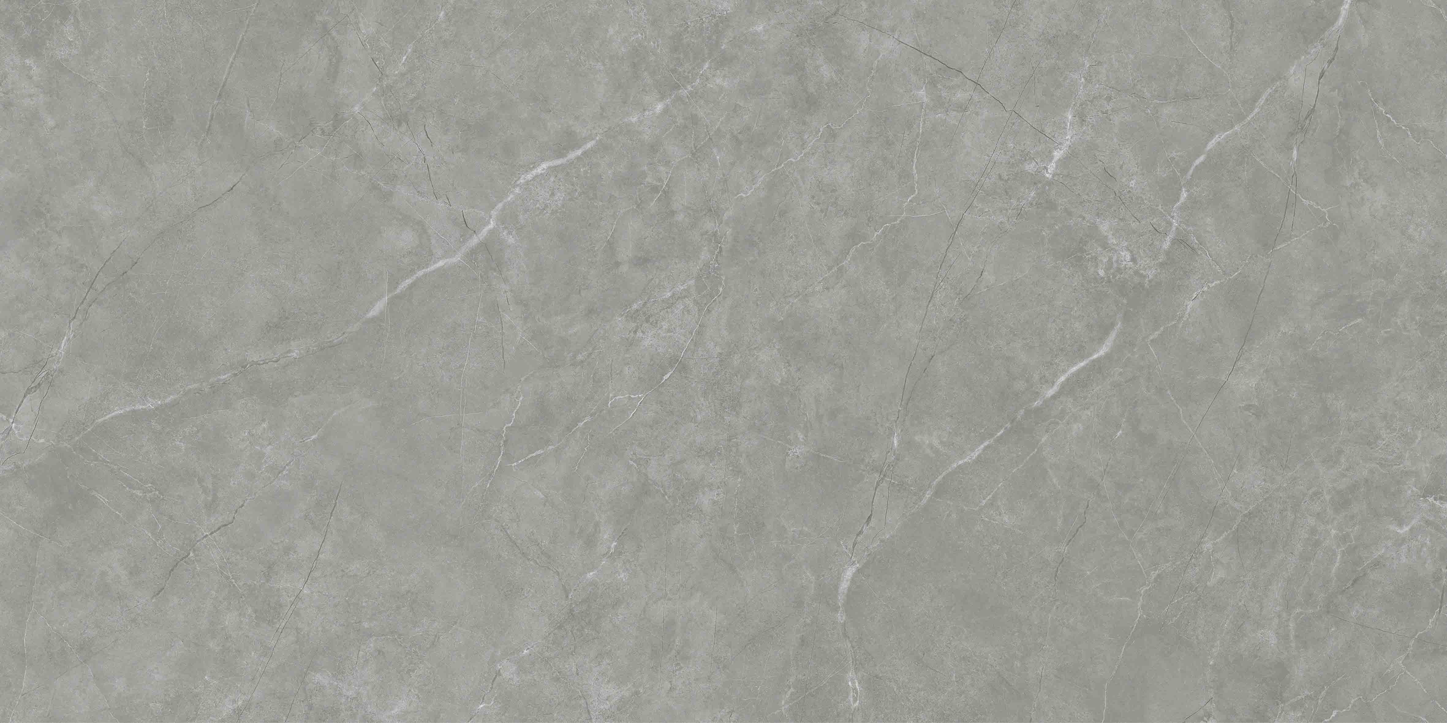 12DT1A21（爱马仕灰）