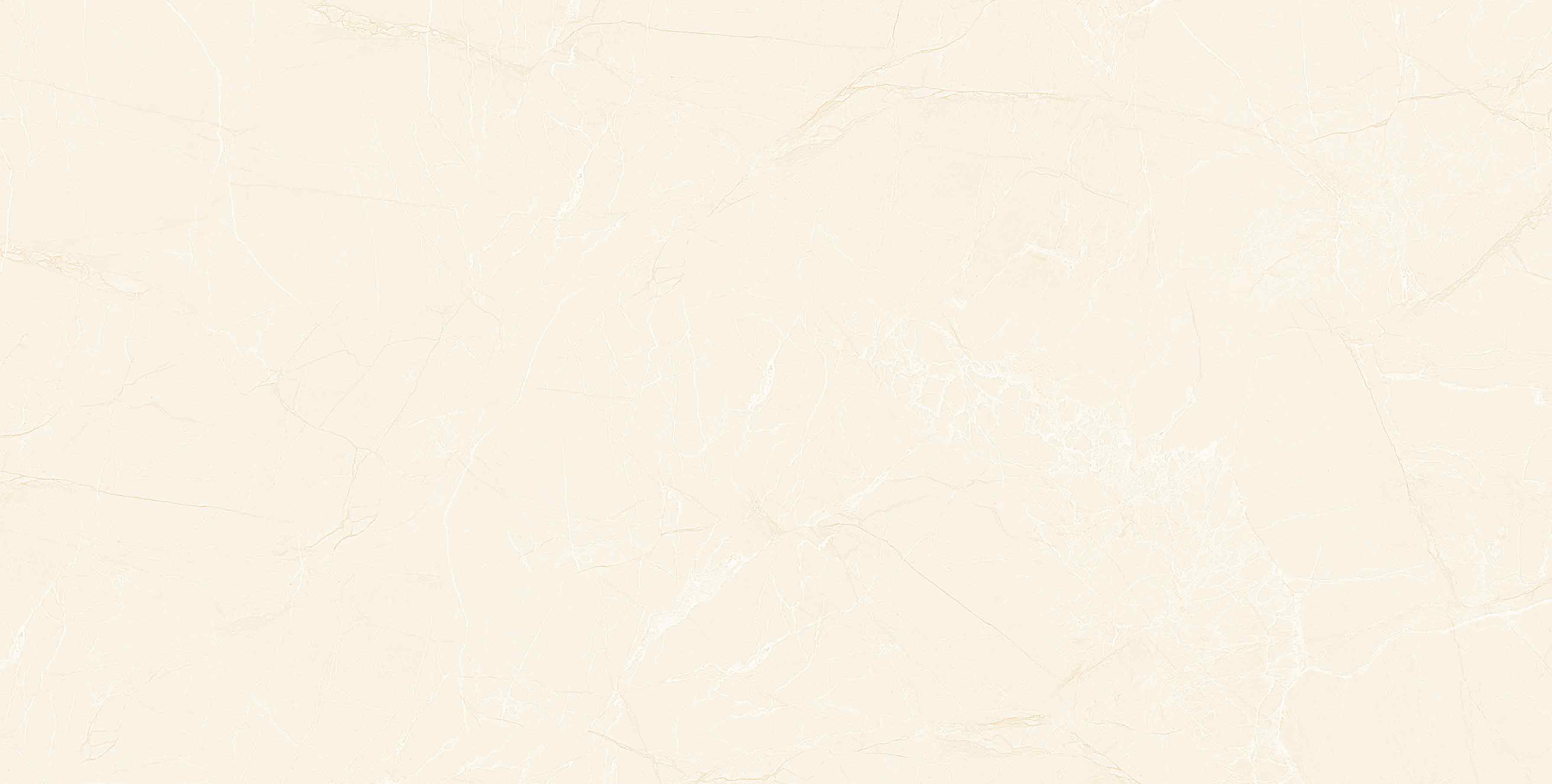 48M006