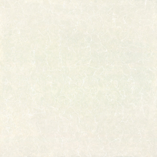 CE8A01