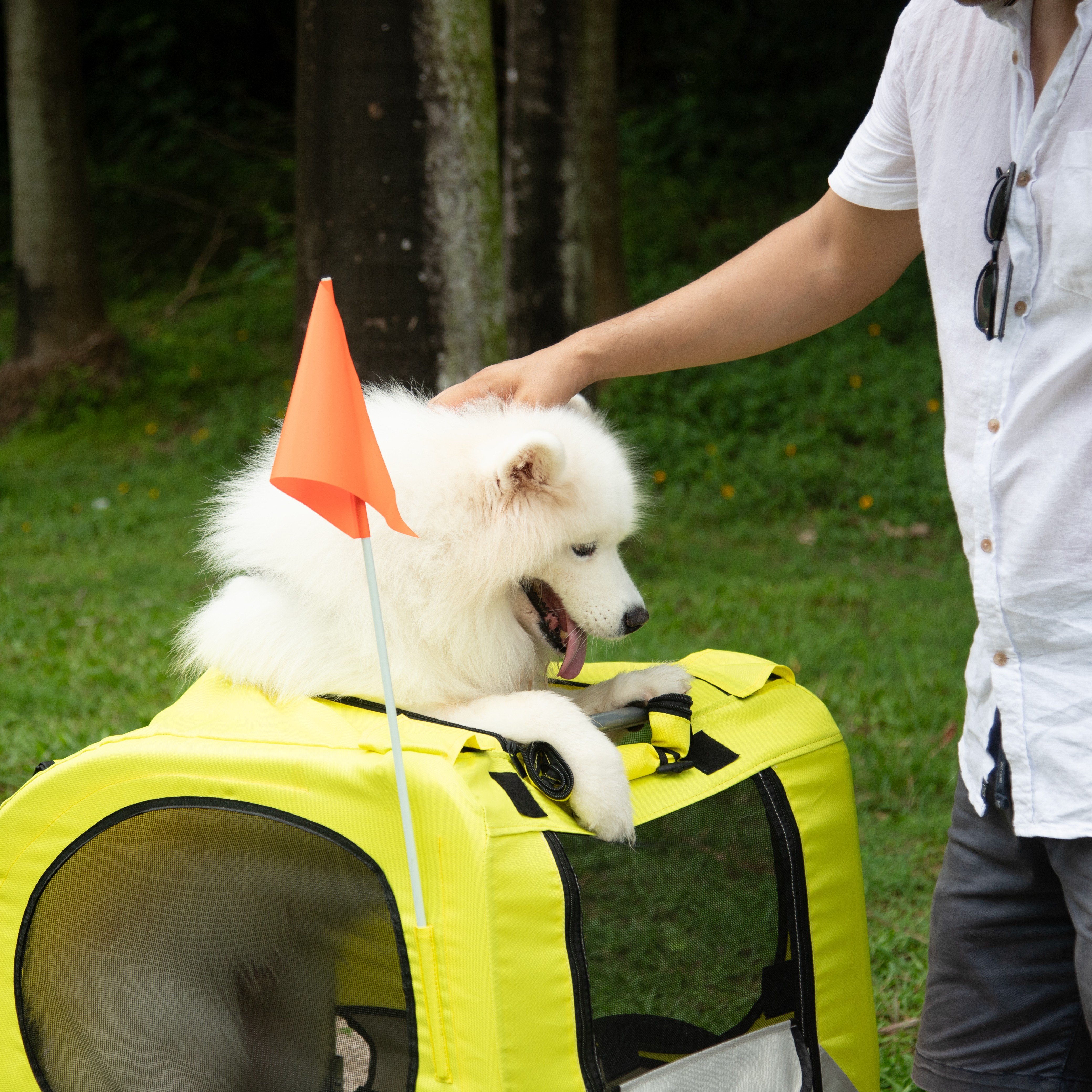 Pet Bike Trailer Image 1