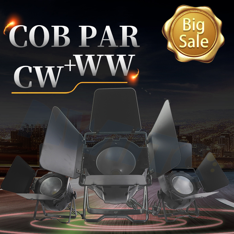Pro DMX 100W 2-in-1 COB LED Par Light