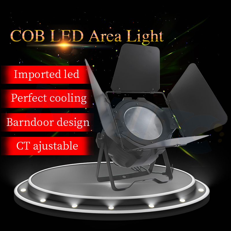 Pro DMX 100W 2-in-1 COB LED Par Light