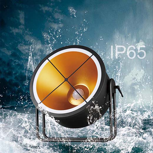 IP Waterproof Outdoor Retro 600w 6in1 LED Backlight With Auxiliary Light And LED Ring