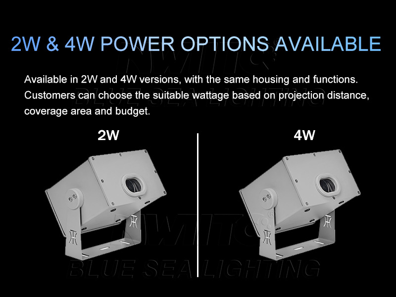 Outdoor firefly laser light 2W