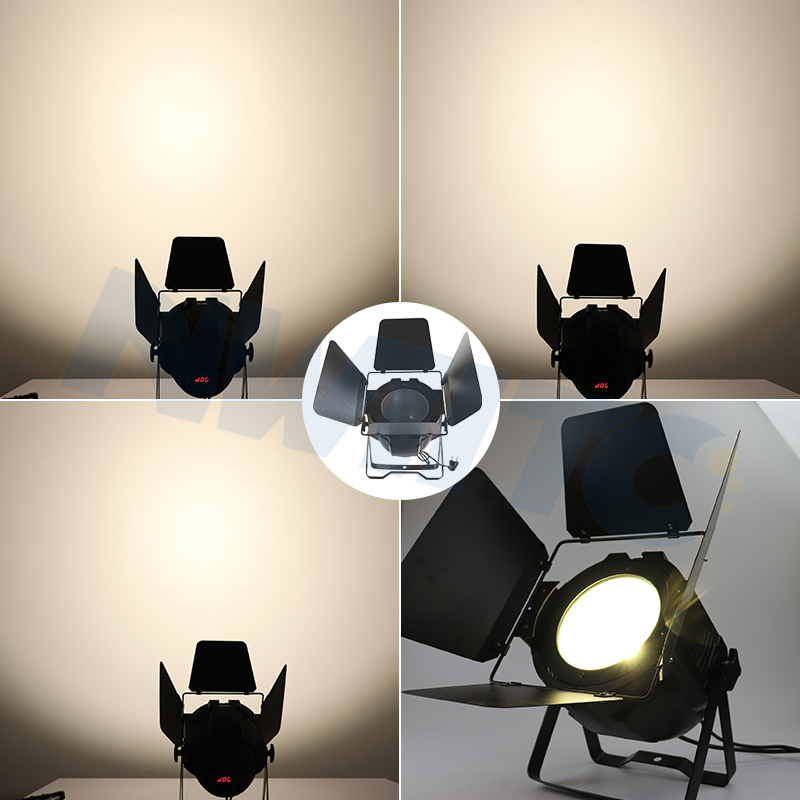Pro DMX 100W 2-in-1 COB LED Par Light