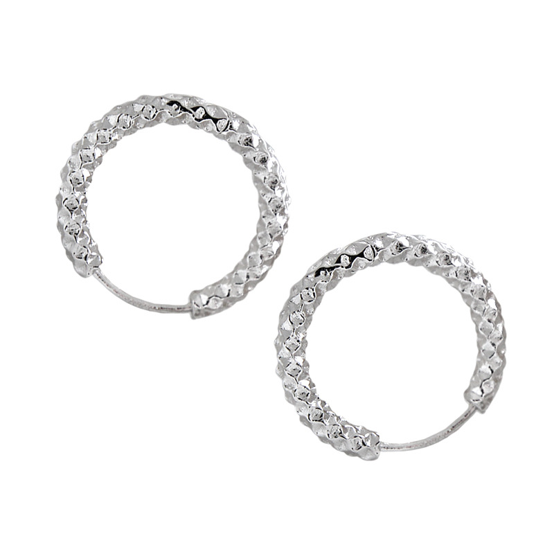 Geometric Hoop Earrings for Women Girl 925 Sterling Silver Not Fade Hoop Earrings Jewelry OEM/ODM