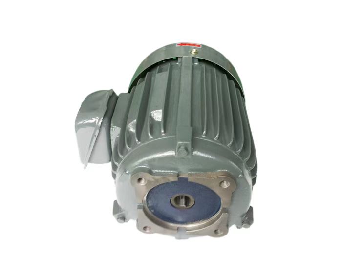 2HP-30L电机