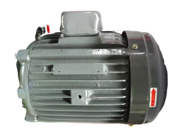 3HP-30L电机