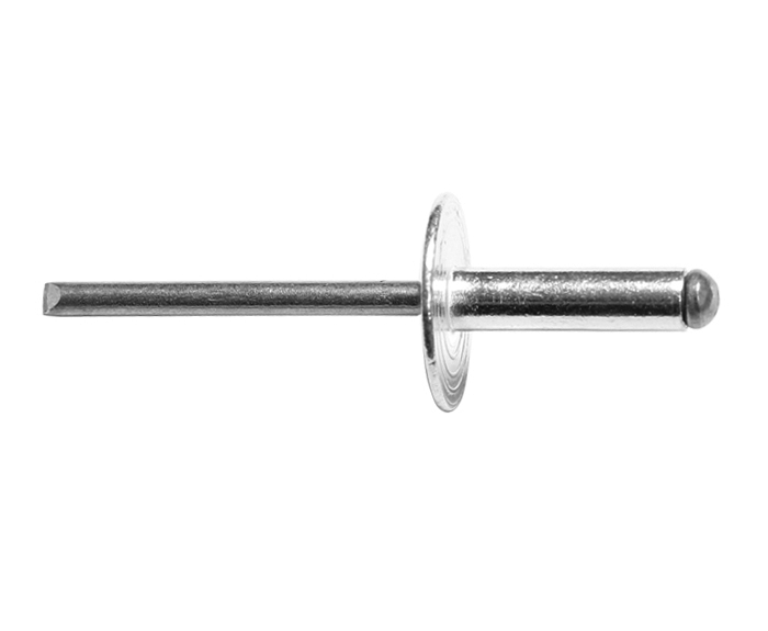 Stainless Steel/Stainless Steel Large Head