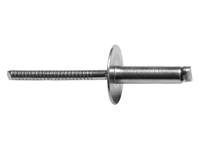 Stainless Steel/Stainless Steel Large Head