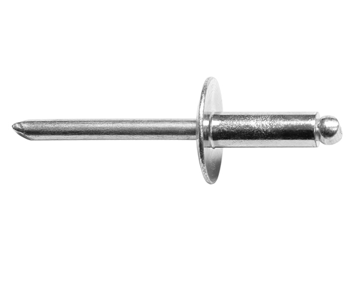 Steel/Steel Large Head