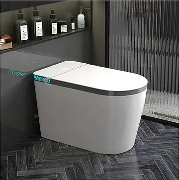 949 Integrated intelligent toilet
