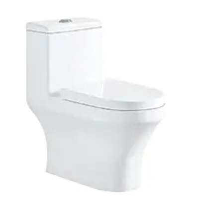 8056 Integrated flush toilet