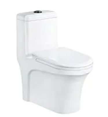8084 Integrated flush toilet