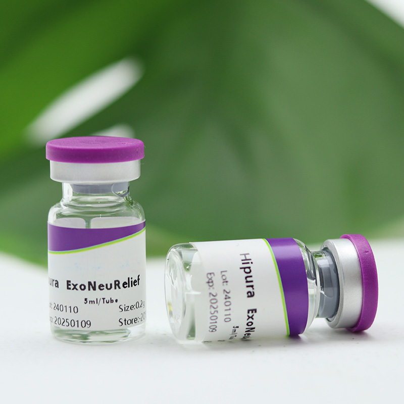 Acute Epilepsy Inflammatory Exosome Inhibitors