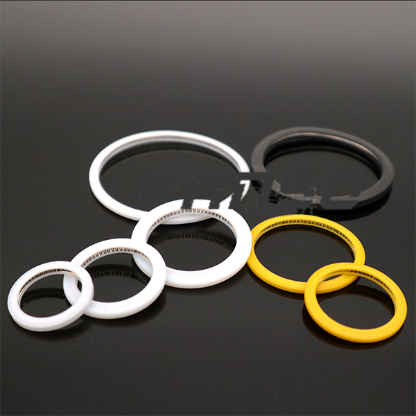 Seal Ring