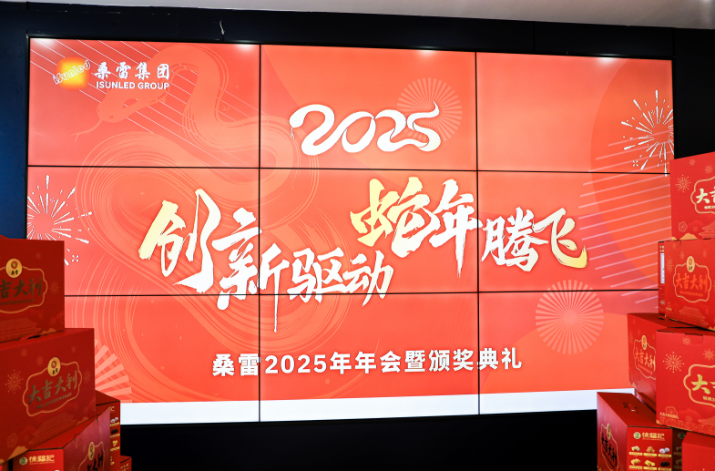 Innovation Drives Progress, Soaring into the Year of the Snake | Sunled Group