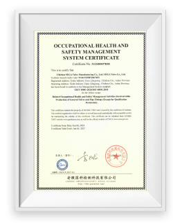 Occupational Health And safety Management System Certificate
