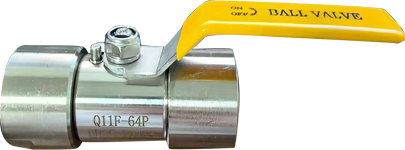 F304 F316 Inner Screw End Ball V. PN64