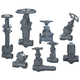 Forged Steel Valves
