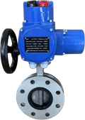 U-shaped butterfly valve
