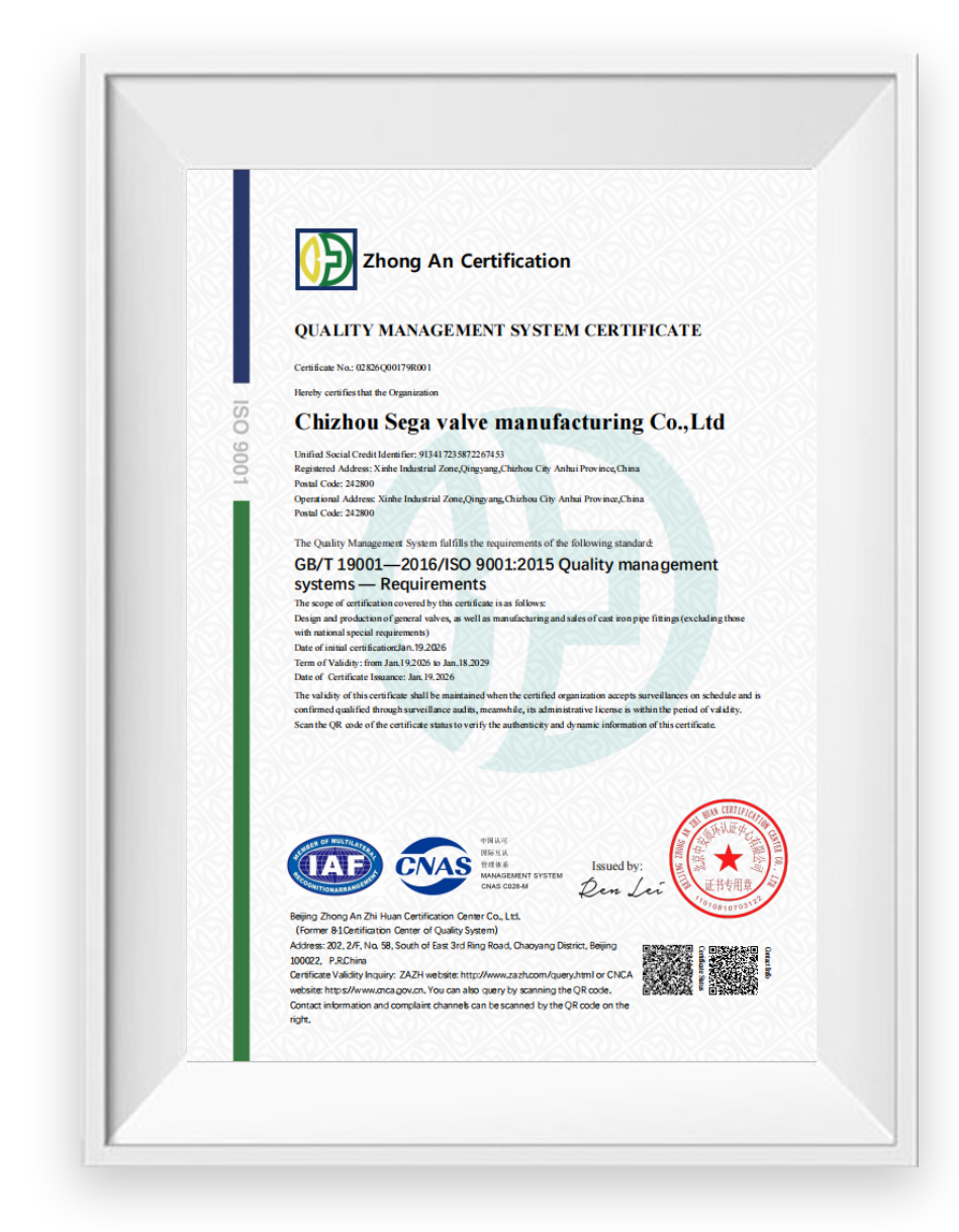 CNAS ISO9001-QMS EN