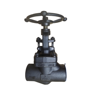 Small forged steel valve
