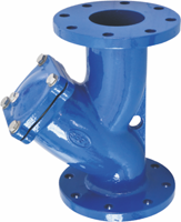 Flanged Y Strainer