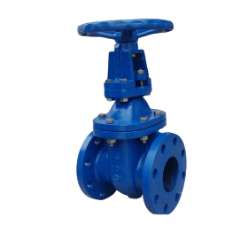 Day Rising Stem Gate valve