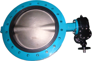 U Type Double Fig.Butterfly Valve PN10/16
