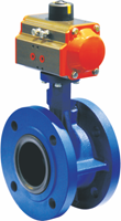 U Type Butterfly Valve
