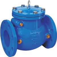 Swing Check Valve
